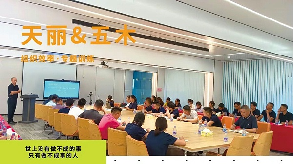 天丽提升企业组织效率 ，在精进中高质量发展！